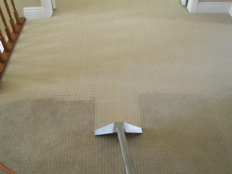 Carpet Cleaning by Truly Steam Eco